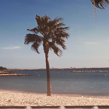 Studio Bord De Mer Saint-Laurent-du-Var Εξωτερικό φωτογραφία